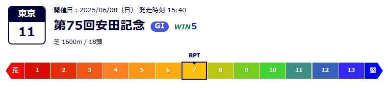 RPT表示の例