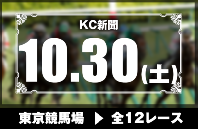 10/30(土)東京競馬『KC新聞』全12レース