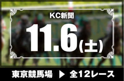 11/6(土)東京競馬『KC新聞』全12レース