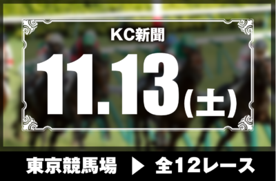 11/13(土)東京競馬『KC新聞』全12レース