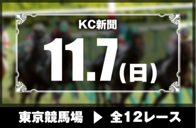 11/7(日)東京競馬『KC新聞』全12レース