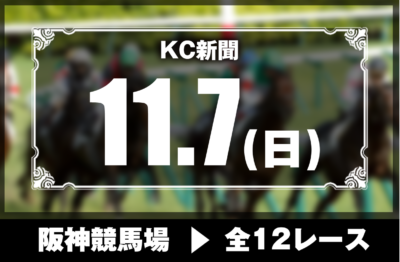11/7(日)阪神競馬『KC新聞』全12レース