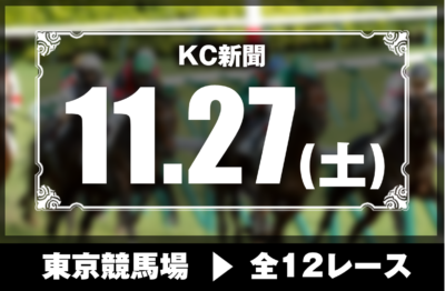 11/27(土)東京競馬『KC新聞』全12レース