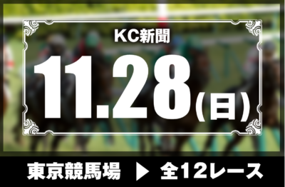 11/28(日)東京競馬『KC新聞』全12レース