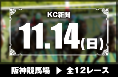 11/14(日)阪神競馬『KC新聞』全12レース