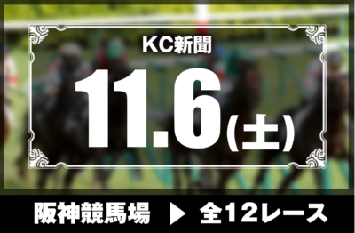 11/6(土)阪神競馬『KC新聞』全12レース