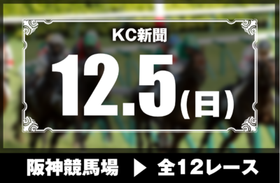 12/5(日)阪神競馬『KC新聞』全12レース
