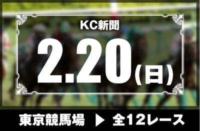 2/20(日)東京競馬『KC新聞』全12レース