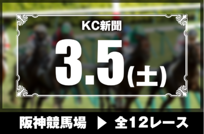 3/5(土)阪神競馬『KC新聞』全12レース