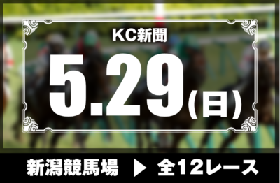 5/29(日)新潟競馬『KC新聞』全12レース