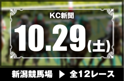 10/29(土)新潟競馬『KC新聞』全12レース