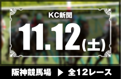 11/12(土)阪神競馬『KC新聞』全12レース